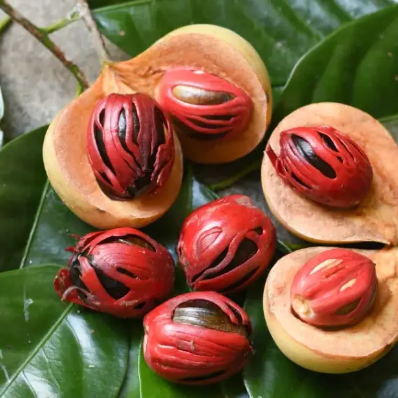 Nutmeg & Mace Premium