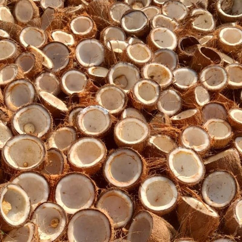 Copra Coconut Premium