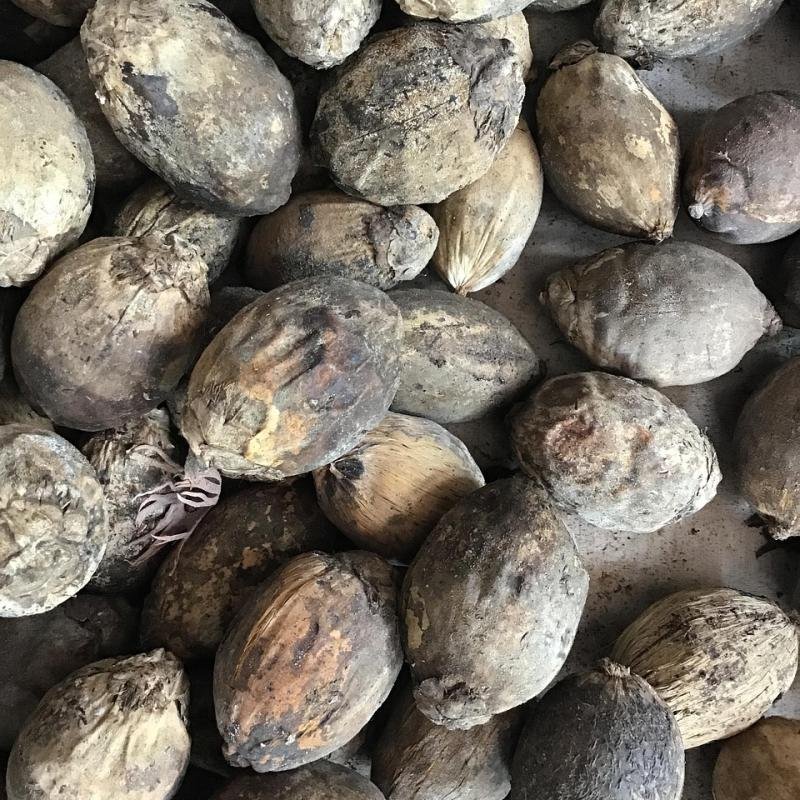 Areca Nut Premium